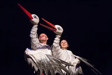 Bocian z Afryki szuka domu, a nie miejsca na mapie