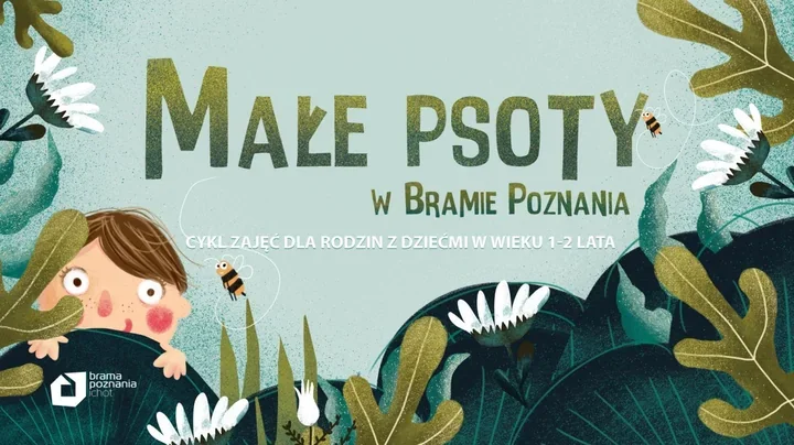 Dzieci wejdą do owadziego świata. W Poznaniu ruszają Małe psoty