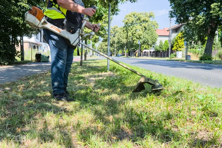 Ponad 300 tys. zł kar za koszenie. ZDM szykuje kolejne decyzje