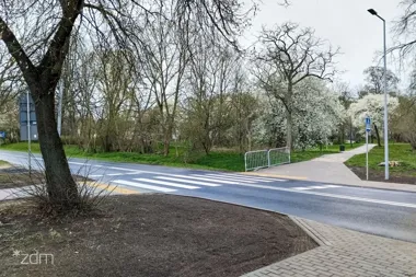 Na Głuszynie pojawiła się doświetlona zebra przy parku i remizie OSP