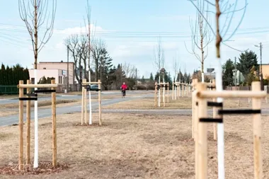 Spławie nabiera zieleni – 61 drzew i setki krzewów przy przystanku