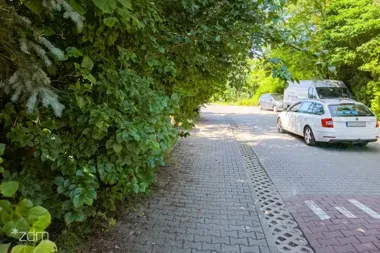 Dbaj o zieleń przed posesją – pielęgnacja, odpowiedzialność i bezpieczeństwo