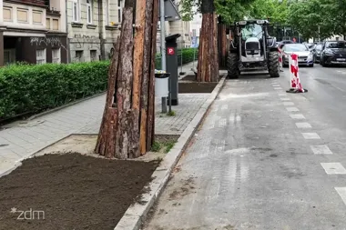 Na Mickiewicza i Dąbrowskiego zniknie kostka. Pojawi się więcej zieleni
