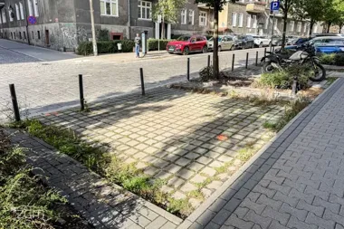 Ponad 260 metrów kwadratowych kostki zniknie. Przy Śniadeckich posadzą róże