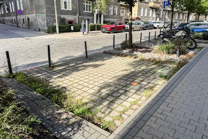 Ponad 260 metrów kwadratowych kostki zniknie. Przy Śniadeckich posadzą róże